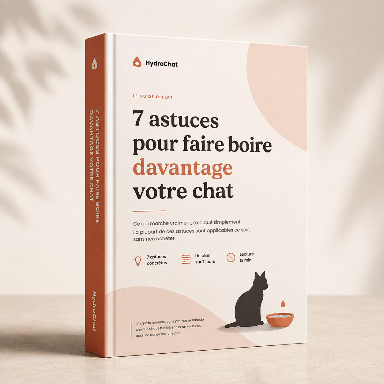 7 astuces pour faire boire davantage votre chat